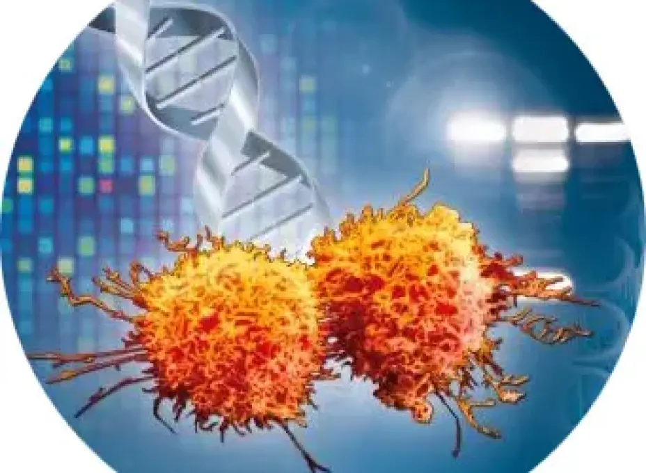 091204 Cancer research rund